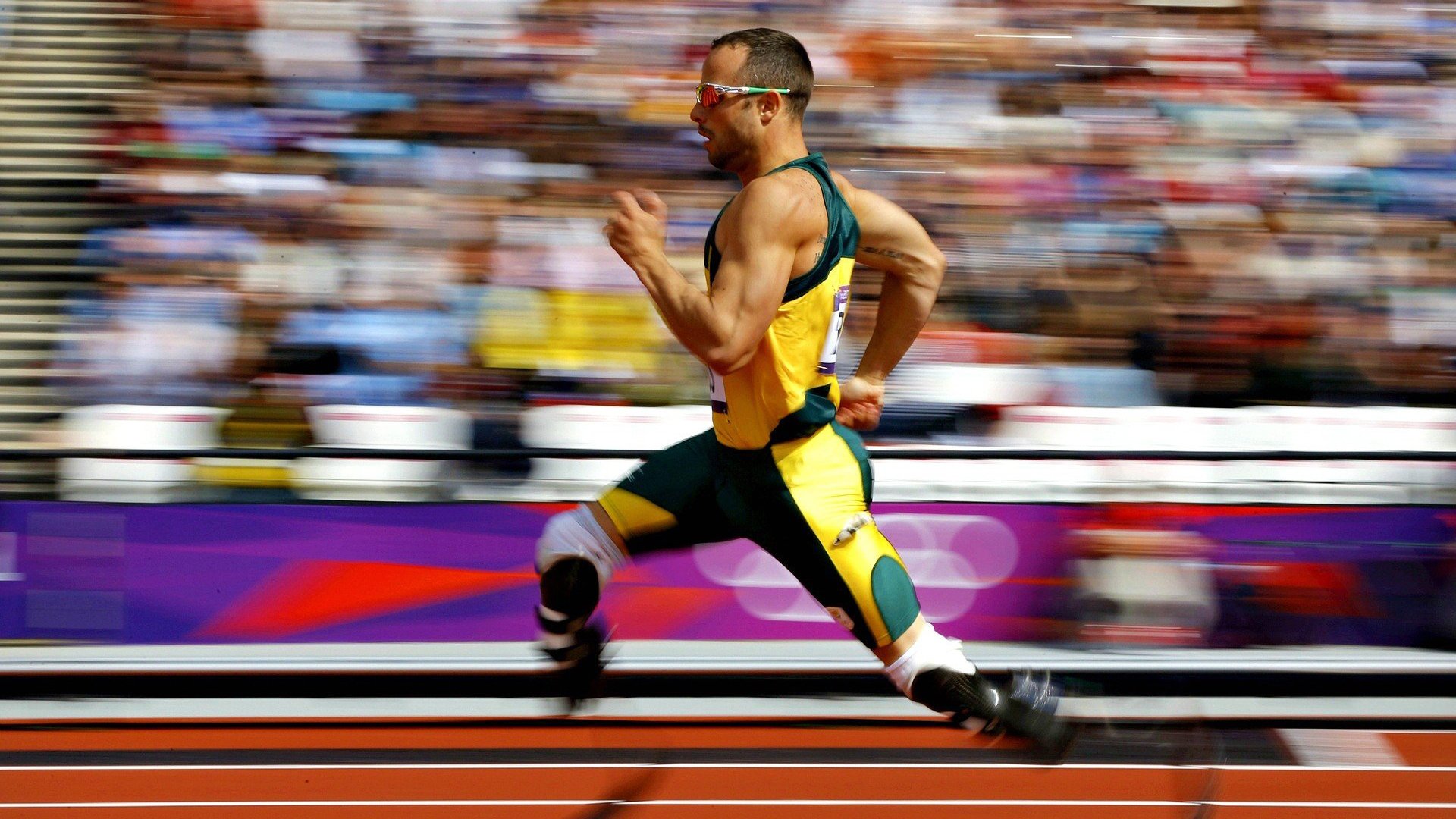 开云竞猜官网-足球场馆智慧化改造试点项目引领行业新标准，足球场馆运营与管理